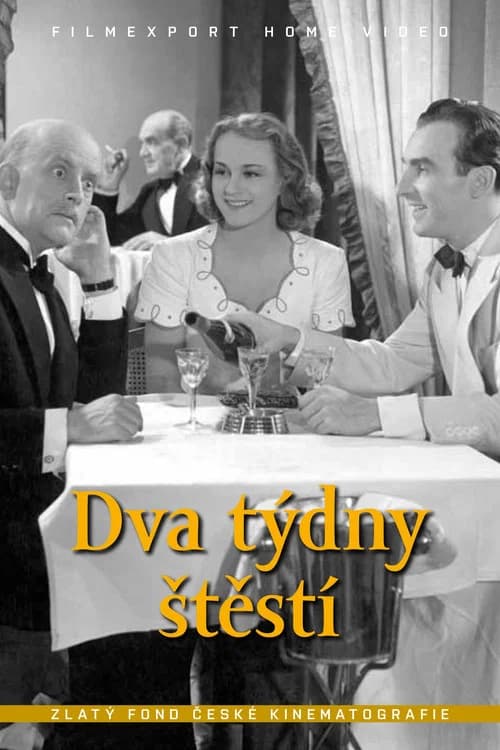 Dva týdny štěstí official trailer poster