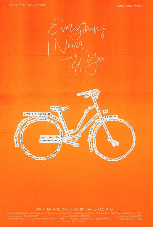 Everything I Never Told You official trailer poster