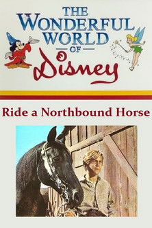 Ride a Northbound Horse official trailer poster