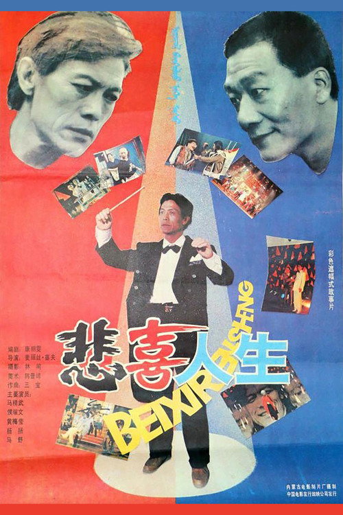 The Joys and Sorrows of Life official trailer poster