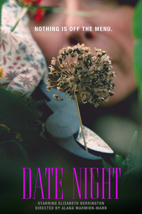 Date Night official trailer poster
