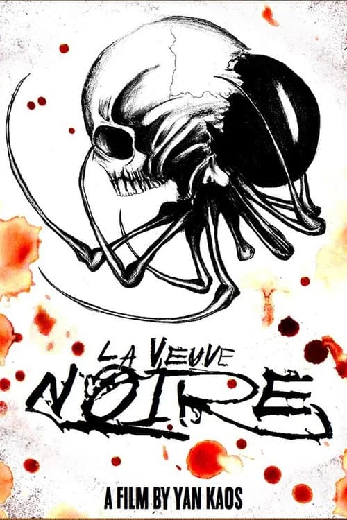 La Veuve Noire official trailer poster
