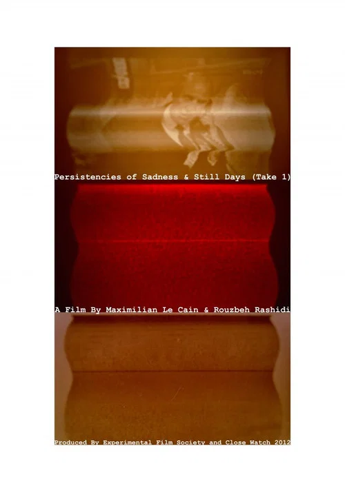 Persistencies of Sadness & Still Days (Take 1) official trailer poster