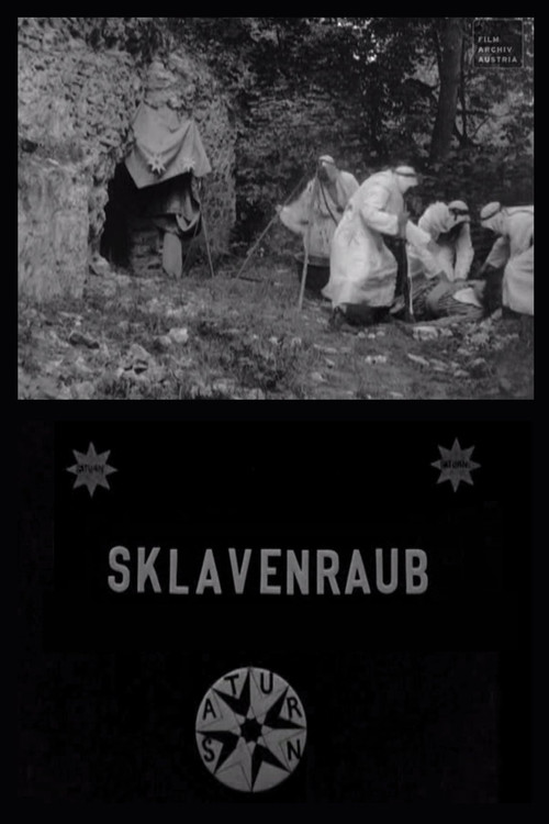 The Abduction of the Slave Women official trailer poster