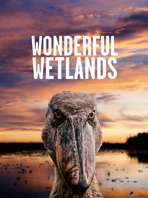 Wonderful Wetlands official trailer poster