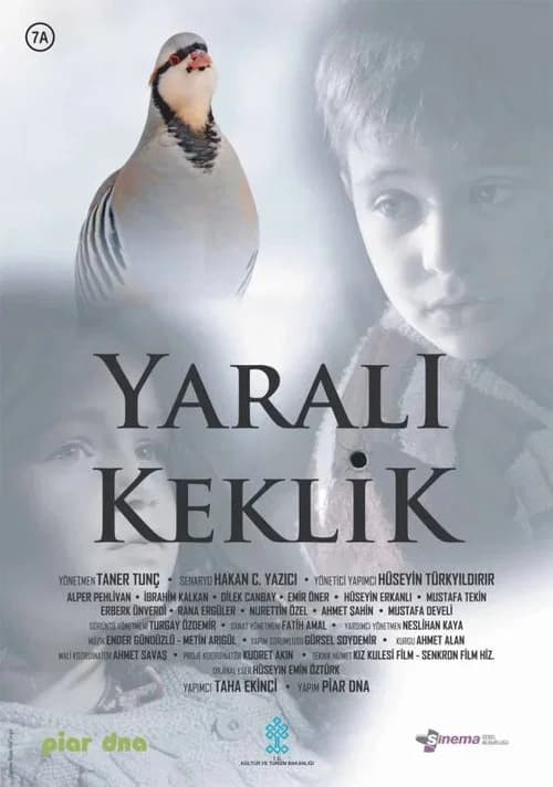 Yaralı Keklik official trailer poster