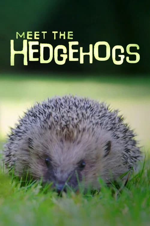 Meet the Hedgehogs official trailer poster