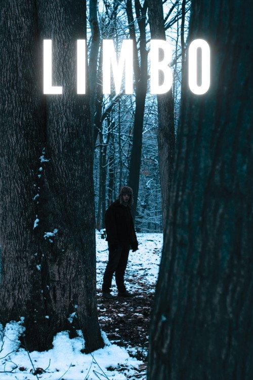 Limbo official trailer poster