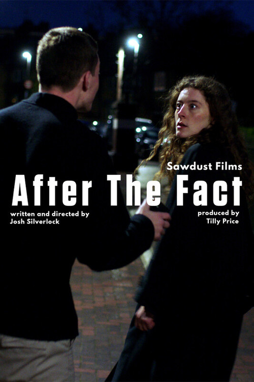 After the Fact official trailer poster