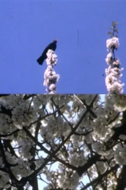 Mourning Garden Blackbird official trailer poster