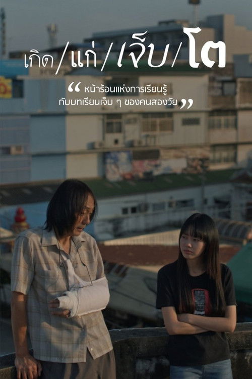 The Summer We Met official trailer poster