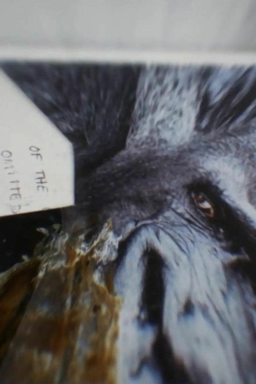 I Remember (depth of flatten cruelty) official trailer poster