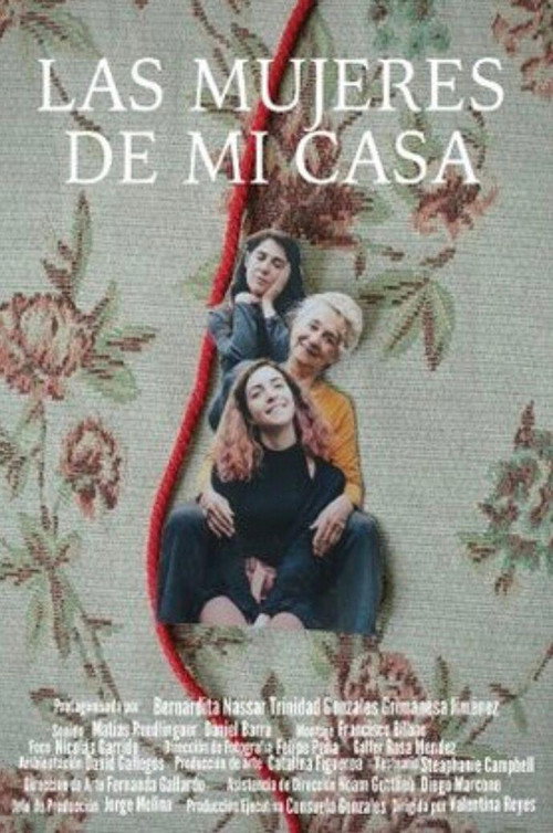 Las mujeres de mi casa official trailer poster