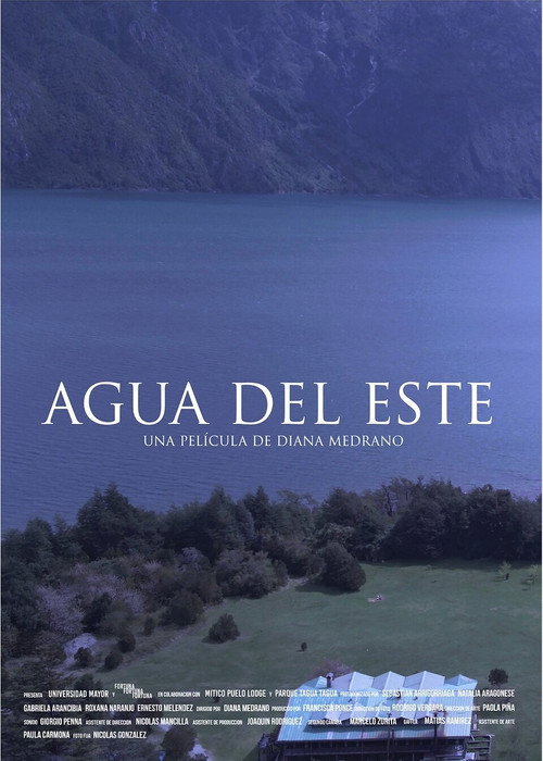 Agua del este official trailer poster
