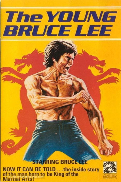 The Young Bruce Lee official trailer poster