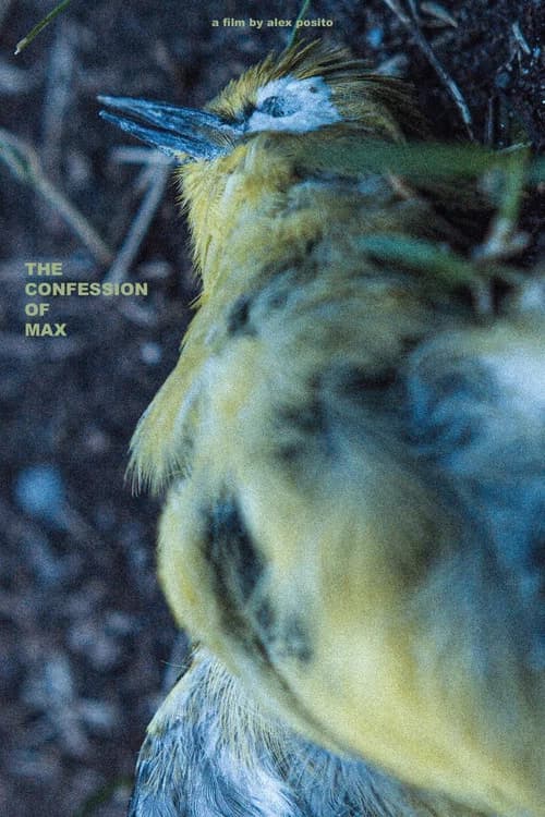 The Confession of Max official trailer poster