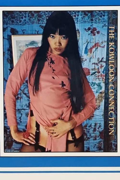 Kowloon Connection official trailer poster