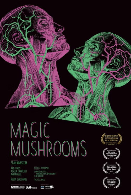 Magic Mushrooms official trailer poster