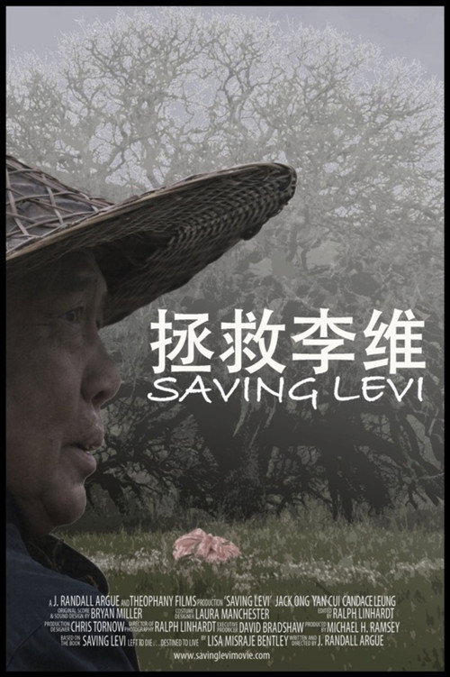 Saving Levi official trailer poster