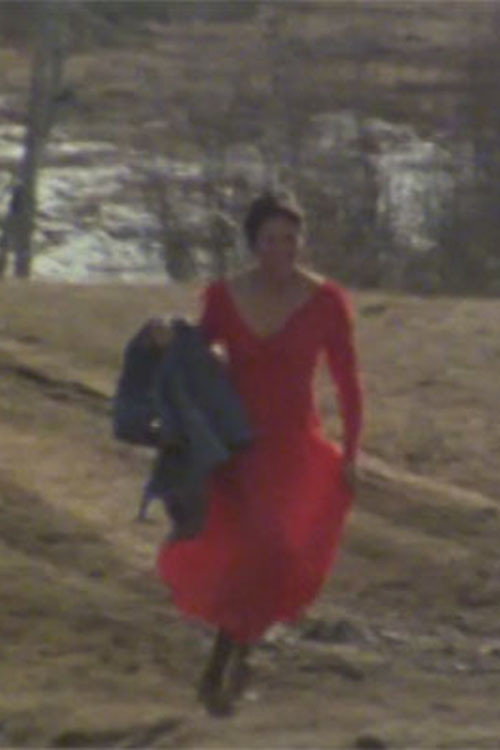 The Red Dress official trailer poster