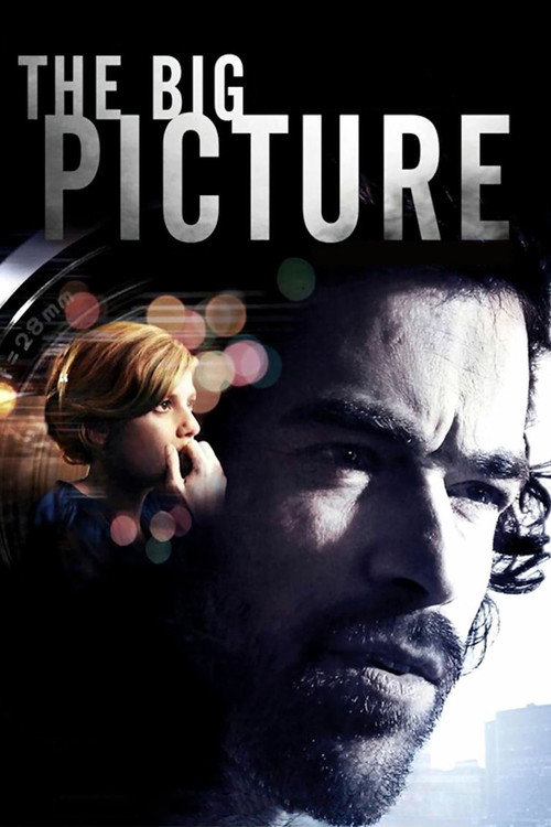 The Big Picture official trailer poster