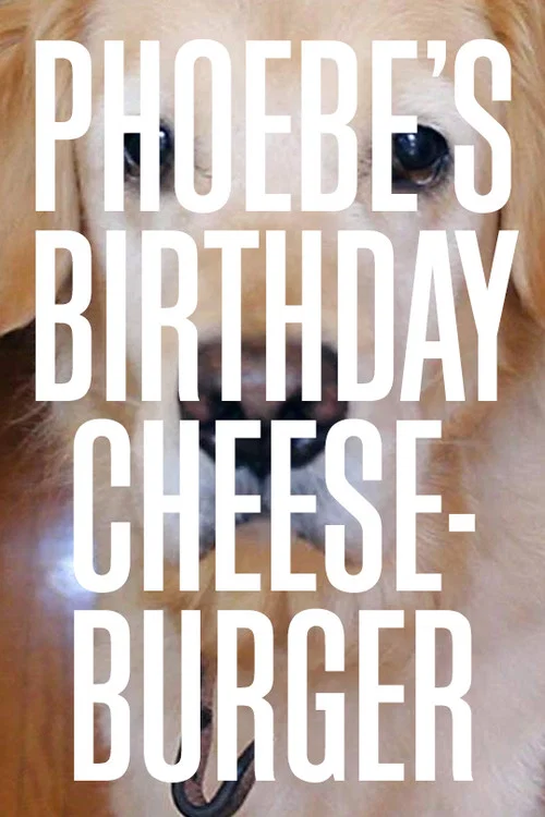 Phoebe's Birthday Cheeseburger official trailer poster