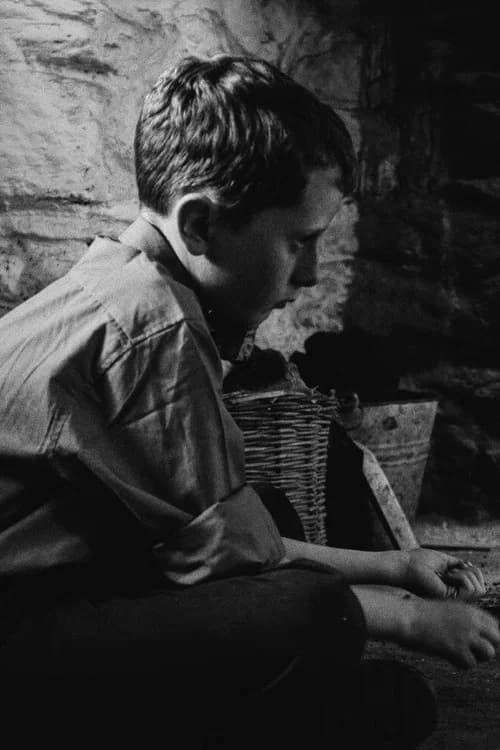The Welfare of Tomás Ó Hallissy official trailer poster