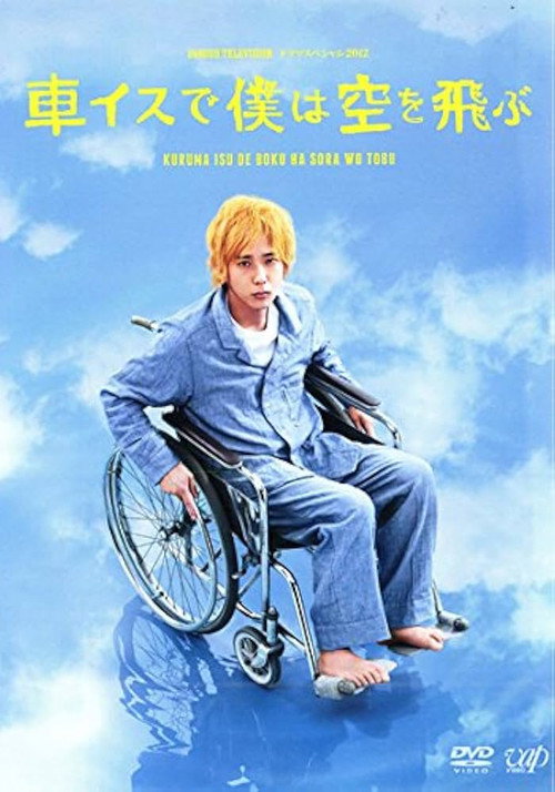 I Will Fly to the Sky on a Wheelchair official trailer poster