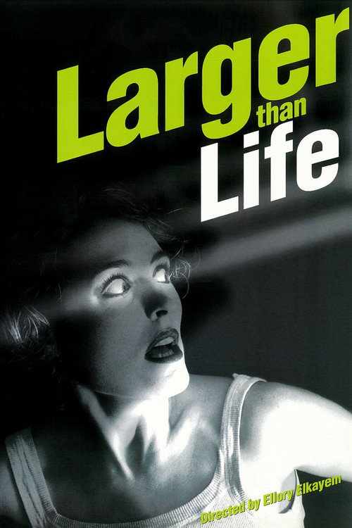 Larger than Life official trailer poster
