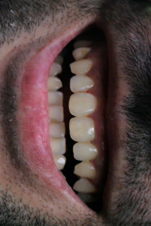 Oral History official trailer poster