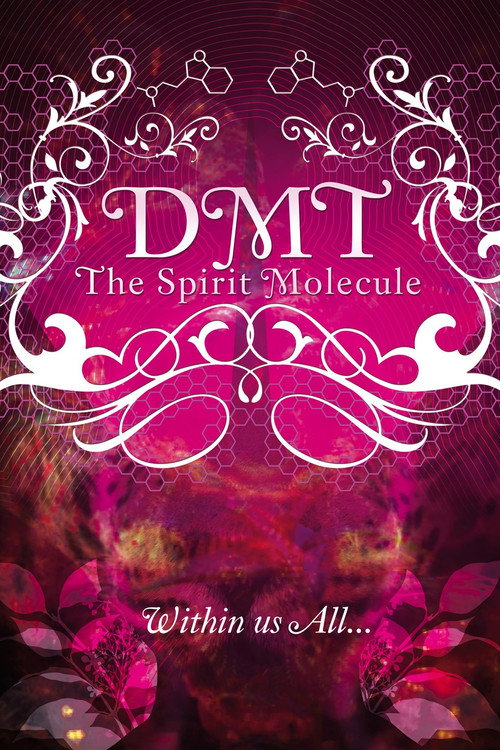 DMT: The Spirit Molecule official trailer poster