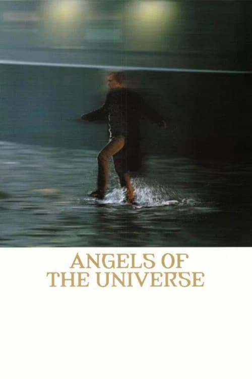 Angels of the Universe official trailer poster