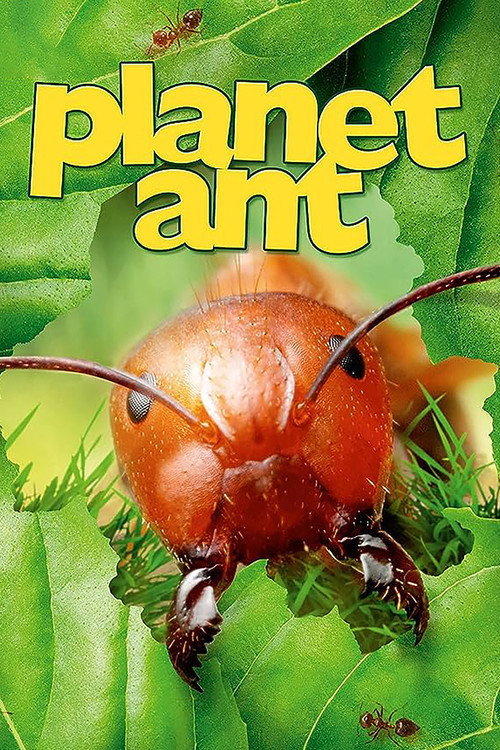 Planet Ant: Life Inside The Colony official trailer poster