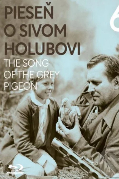 The Song of the Grey Pigeon official trailer poster