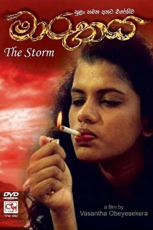 The Storm official trailer poster