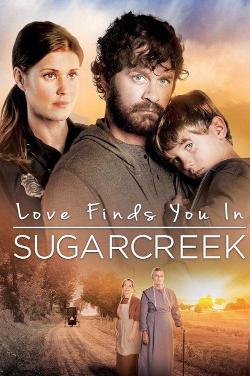Love Finds You In Sugarcreek official trailer poster