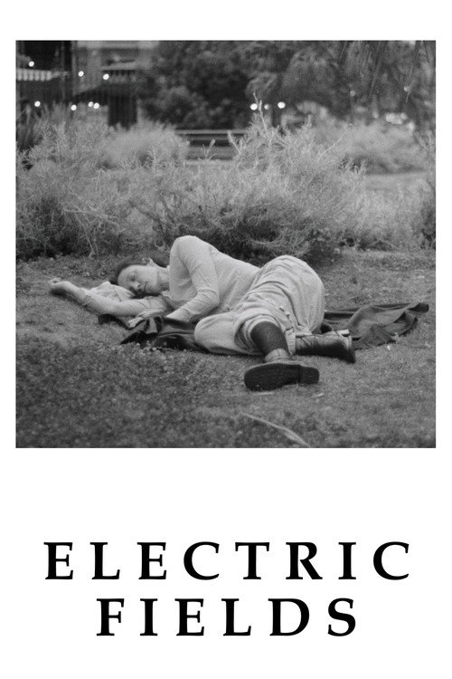 Electric Fields official trailer poster