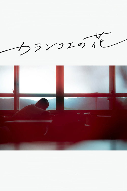 Kalanchoe official trailer poster
