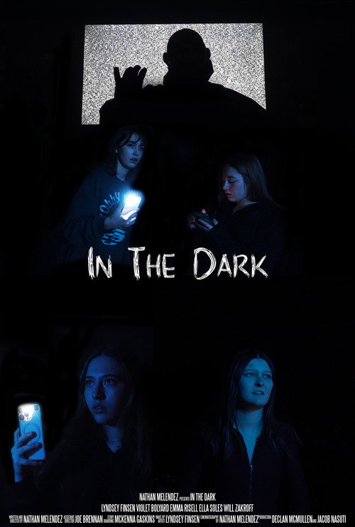 In The Dark official trailer poster