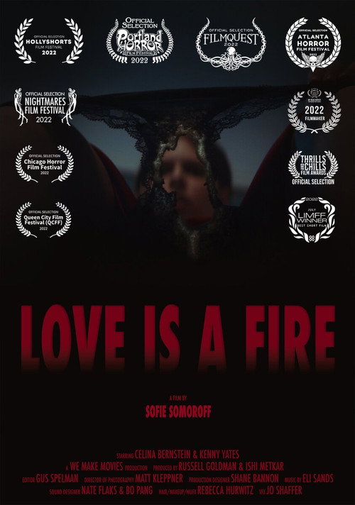Love is a Fire official trailer poster