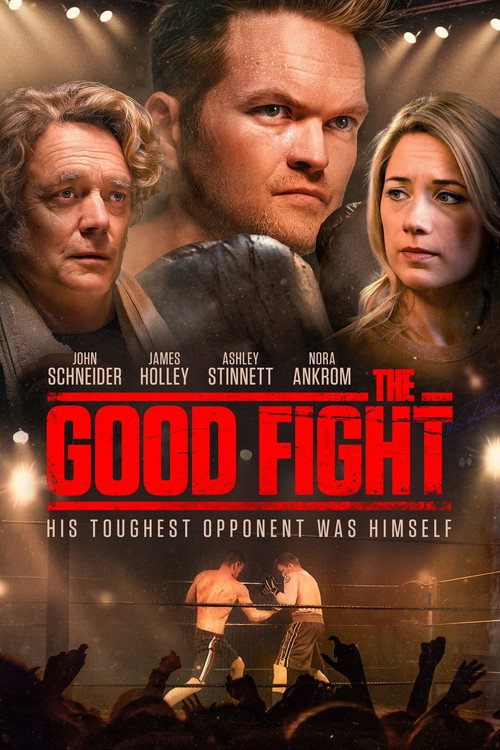 The Good Fight official trailer poster