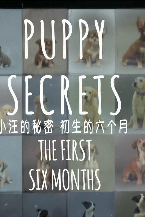 Puppy Secrets: The First Six Months official trailer poster