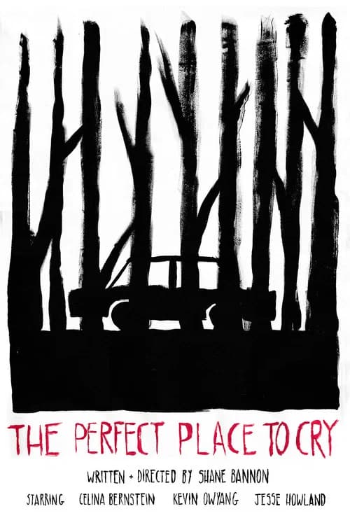 The Perfect Place to Cry official trailer poster