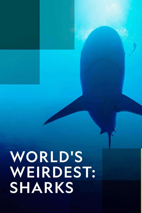 World's Weirdest: Sharks official trailer poster