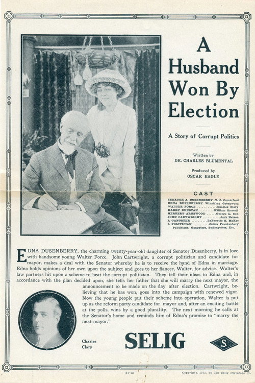 A Husband Won by Election official trailer poster