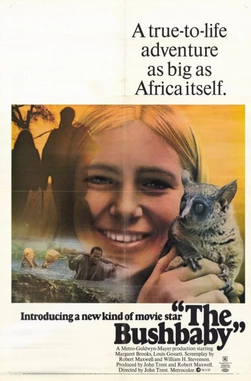 The Bushbaby official trailer poster