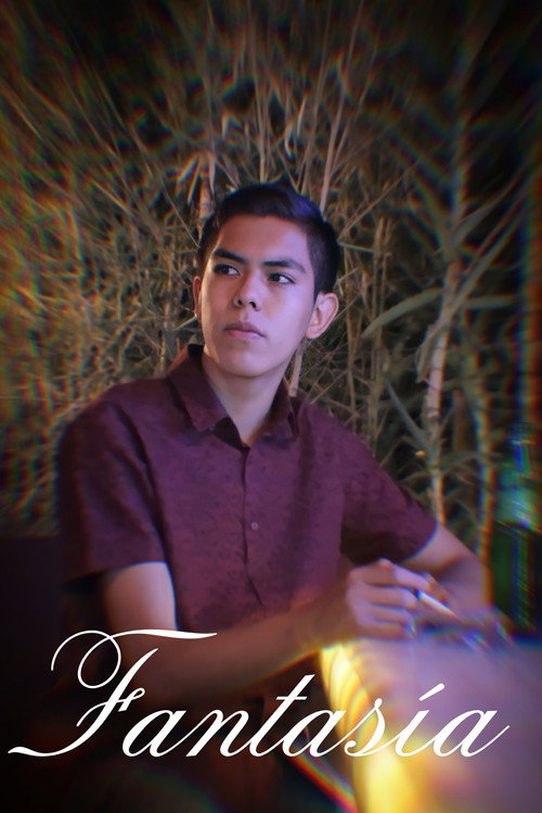 A Reverie official trailer poster