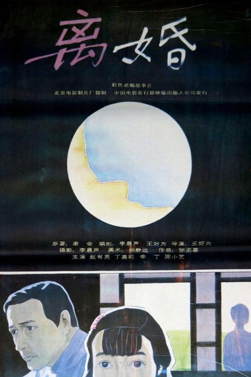 After Divorce official trailer poster