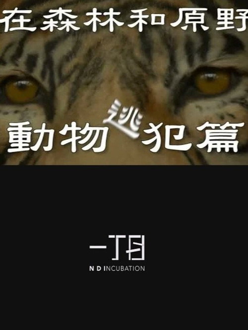 In the Forest and the Wilderness—The Animal Fugitives official trailer poster