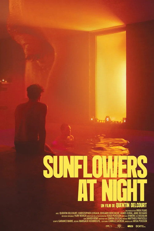 Sunflowers at Night official trailer poster